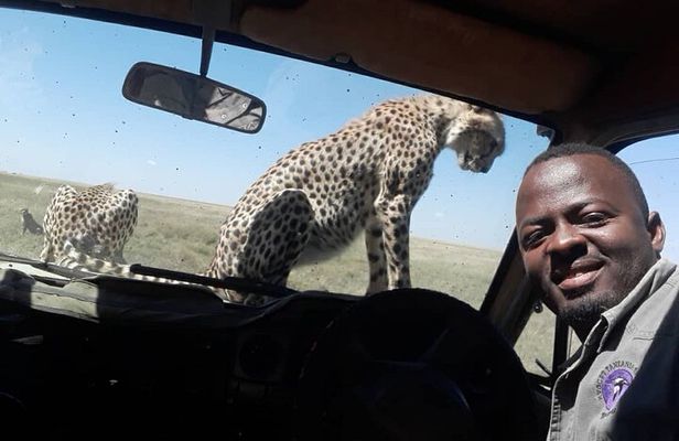5 Days Tanzania Group Joining Safari, Tarangire/Serengeti/Ngorongoro Crater