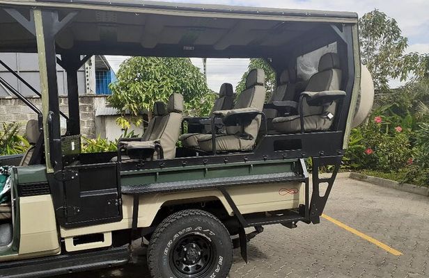 Half-Day Private Tour in Open Jeep at Nairobi Park 