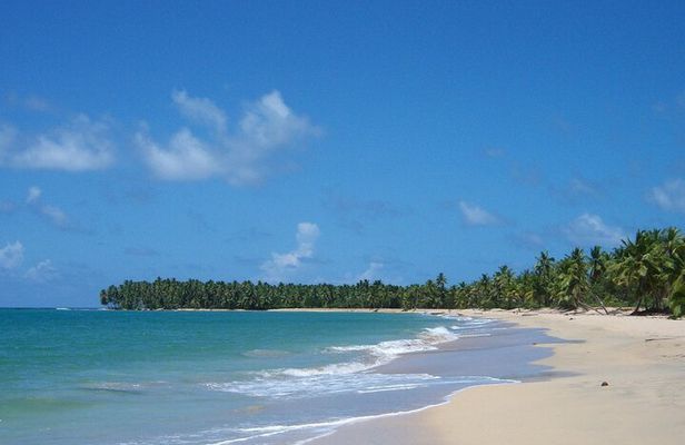 Private Boat Nature Tour of Limón Beach and Lagoon