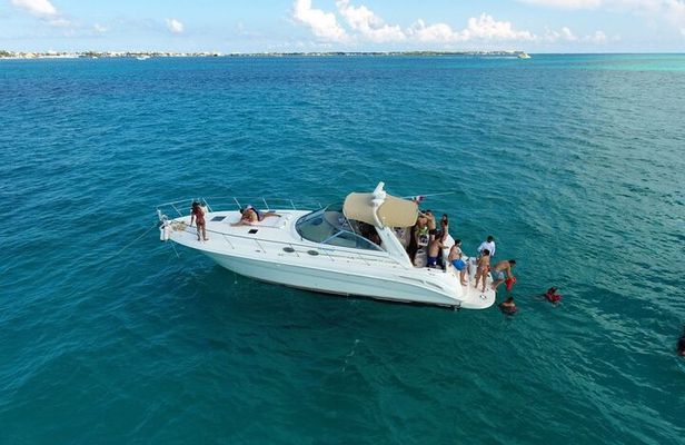 Private Yacht Rental Miami, Customizable Tours, Dolphin Watching