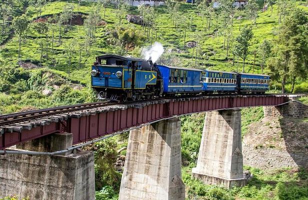 Coimbatore to Ooty- transfers+Hotel+Sightseeing
