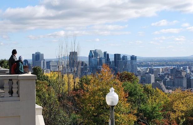 Small-Group Sightseeing Tour of Montreal