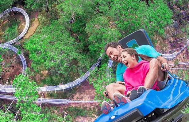 VIP Private Tour in Dalat City and Waterfall