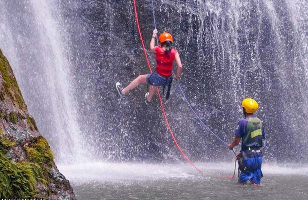 The Philippines: Bohol, Cebu & Dumaguete Area in 6 Days, 1st Class Custom Tours