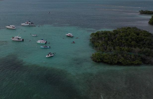 La Parguera Glowing Bioluminescent Bay Boat Tour from San Juan