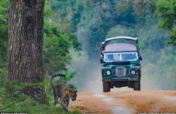 Sri Lanka: See & Experience it ALL in 10 Days, 1st Class Custom Tours