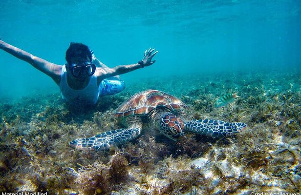 Cancun & Yucatan: See & Experience ALL in 7 Days, 1st Class Tours