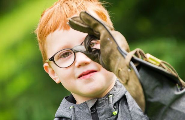 Private Family Bird of Prey Experience in Carlisle
