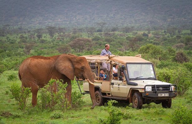 3-Day Samburu Luxury Safari