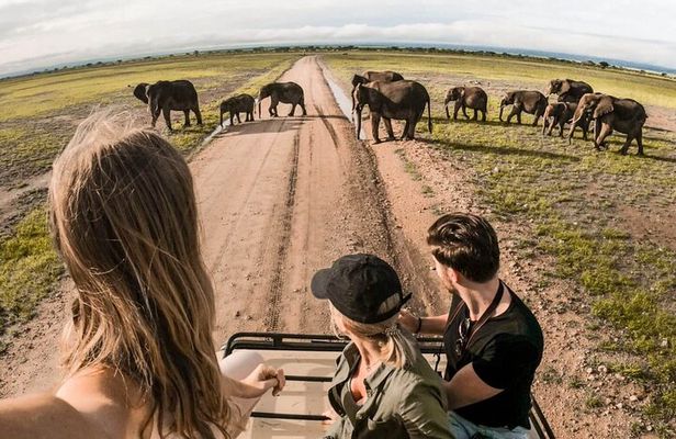 4-Day |Sharing Safari, Tarangire, Serengeti, Ngorongoro