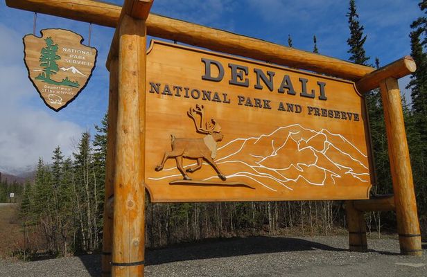 10 Hours Denali Winter Drive in Alaska