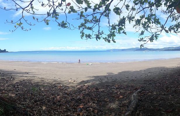 2 Nights in Drake Bay + Corcovado National Park