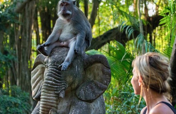 Ubud: Waterfalls, Rice Terraces, and Monkey Forest Private Tour