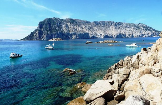 Boat tour to explore the Marine Protected Area of Tavolara