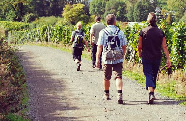 Wine Hiking Sip & Trek