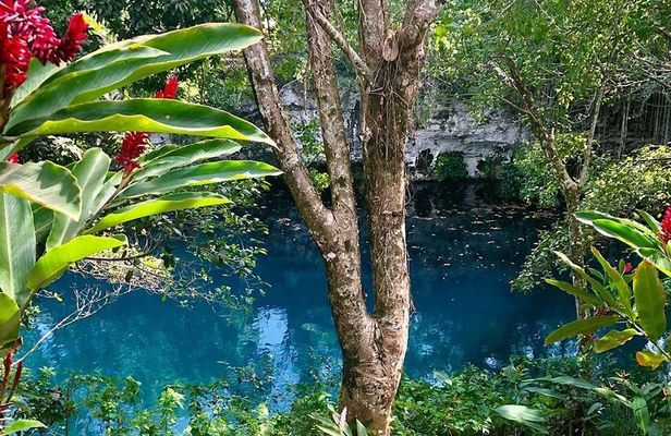Blue Dudu Lagoon