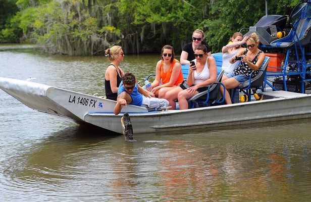 Small-Group Airboat Swamp Tour with Downtown New Orleans Pickup