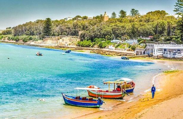 Private day Trip to Oualidia and Safi from Marrakech