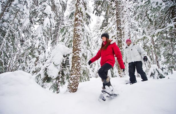 Medicine Trail Snowshoe Tour