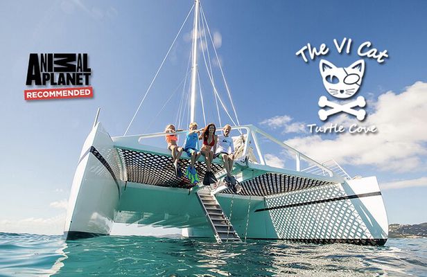 Turtle Cove Catamaran Snorkel and Sail at Little Buck Island