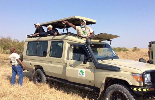 3-days Maasai mara migration safari from Mombasa town