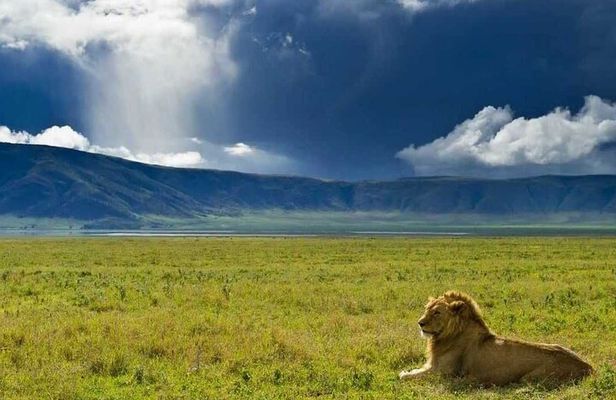 3 Day Sharing Safari - Manyara, Ngorongoro Crater and Tarangire National Parks