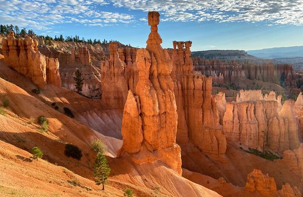 Bryce Canyon National Park: Private Guided Hike & Picnic