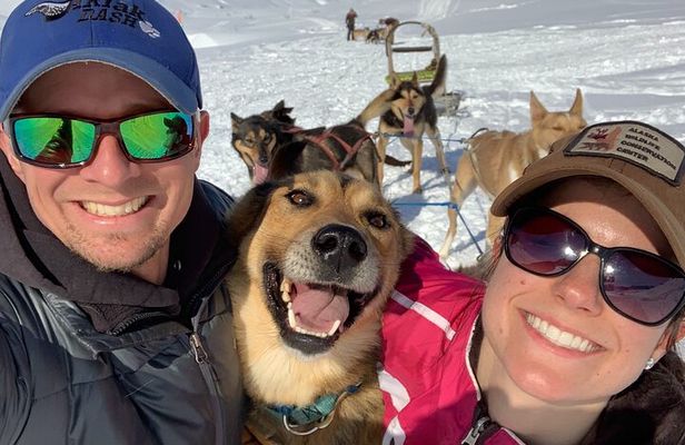 Dog Sledding Adventure in Willow, Alaska