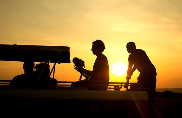 7-Day Private Gorilla and Safari Adventure Tour in Uganda