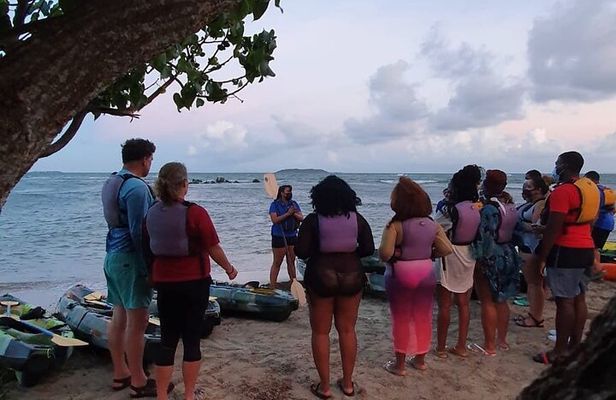 Fajardo Bioluminescent Bay Night Kayak Adventure from San Juan