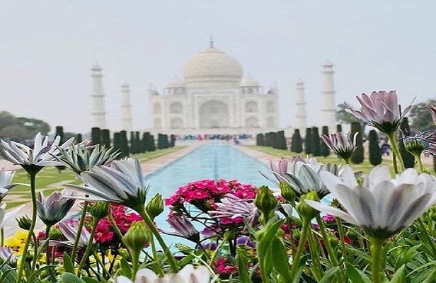 Sameday Taj Mahal Tour From Delhi With Lunch at 5 Star Hotel