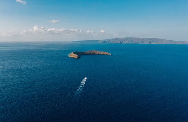 2-Hour Molokini Snorkel Trip