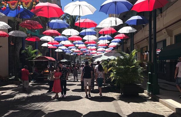 Mauritius full day : Private north tour 