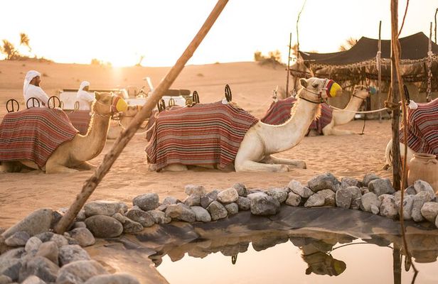 Bedouin Culture Safari