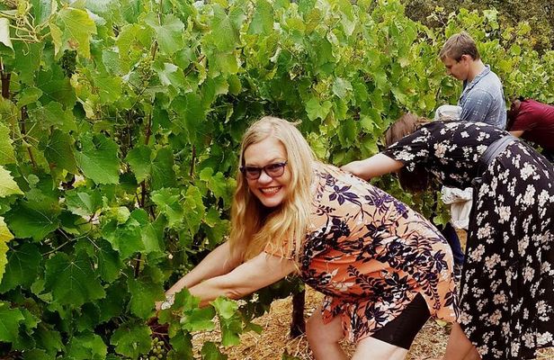 Cape town - Unique Private wine tour Blend & bottle own wine