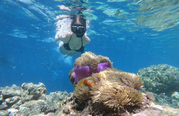 Snorkeling Tour at Blue Lagoon with Private Hotel Transfer