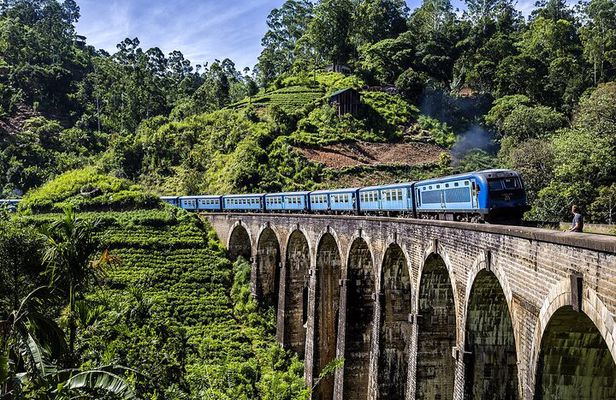 Customized 11-Day Flexible Sri Lanka Tour with Private Car