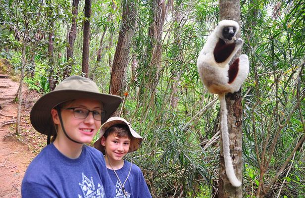 3-Day Private Tour to Andasibe National Park