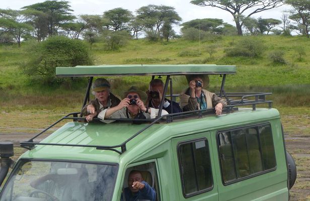 4 Days Ngorongoro & Serengeti Safari from Arusha