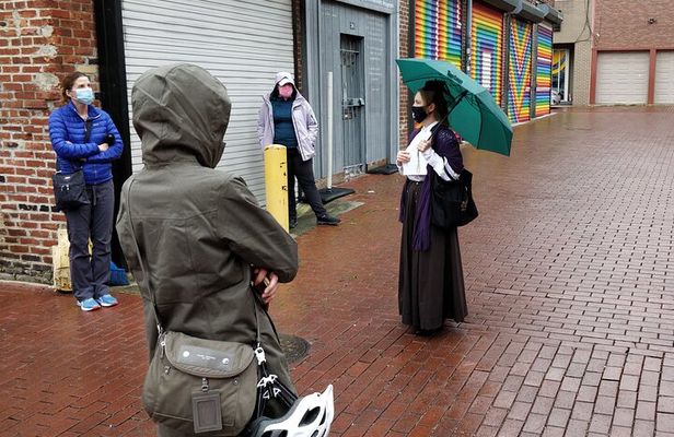 Historic Alleyways Guided Walking Tour of Washington DC