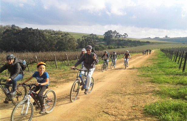 Franschhoek Family Cycle Tour