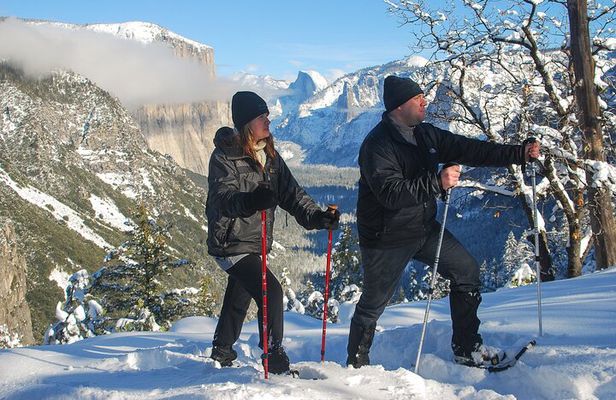 Private Guided Snowshoe Hike in Yosemite