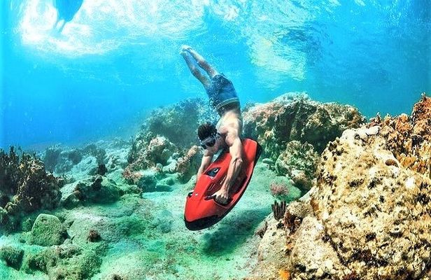 Snorkel & Seabob Reef Tour