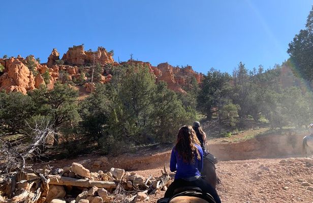 Ruby's Horseback Adventures Utah Half Day Ride