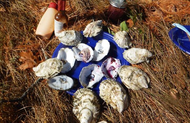 Oyster Farm & Tasting Sea Kayak Tour in Casco Bay