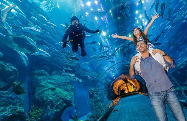 Dubai Aquarium & Underwater Zoo - Basic