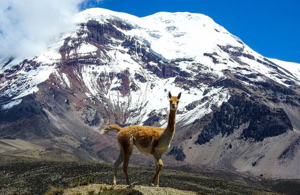4 or 5 Day Quito to Cuenca and Cotopaxi,Quilotoa,Baños,Chimborazo