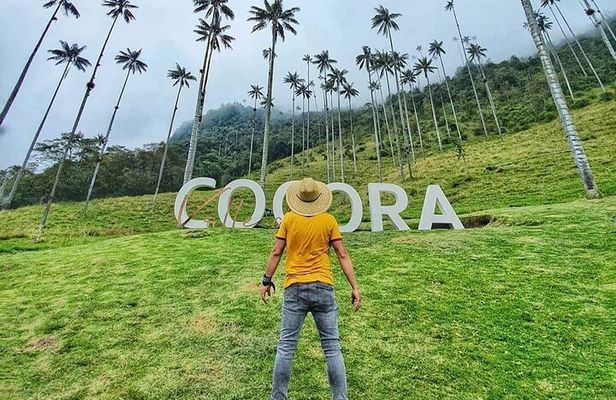 Tour in the Cocora Valley short