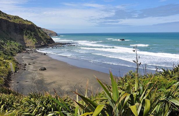 Auckland's Wild West Coast & Black Sand Beaches Tour inc Lunch