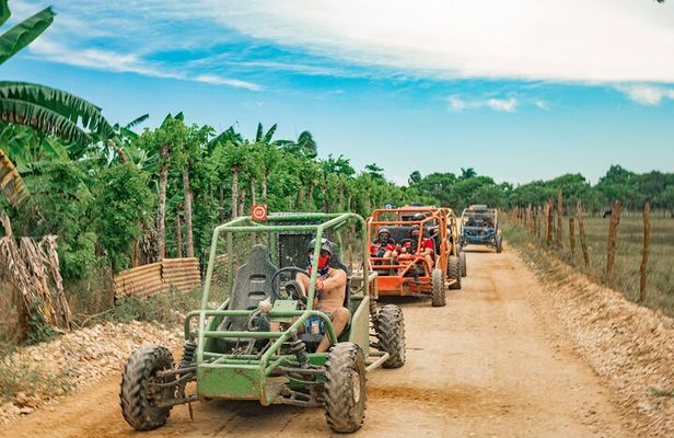 Buggies Off Road Extreme From Punta Cana